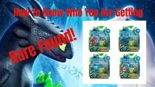 HTTYD: Mystery Dragon 2 Pack