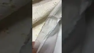 Видеообзор Молочное Шитье