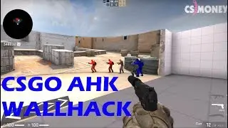 CS:GO WALLHACK AHK