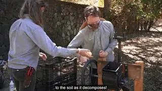 Filoli's Antique Fruit Press | Making Cider!