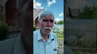 Как подготовить виноградный куст к цветению?