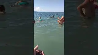 ЧЕРНОЕ 🌊МОРЕ ХУТОР БЕТТА ВОДА ПРОСТО КИПЯТОК