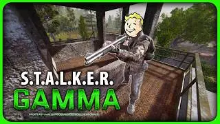 Fallout Player Tries S.T.A.L.K.E.R. Gamma