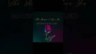 Marco x Lil Leo - The Reason I Love you (Official Audio)