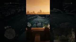 Здесь рыбы нет 😄Или всё таки есть?