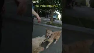 ДОБРОЕ УТРО 2024.05.26