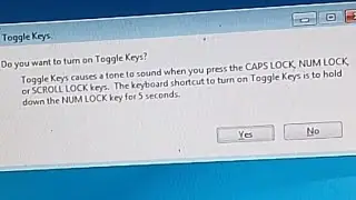 Toggle Keys/ Do you want to turn on Toggle keys?