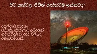 What is the radio signal from this proxima centuari star.