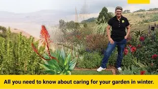 Garden Masterclass LIVE with Tanya Visser