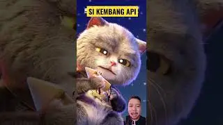 DON'T BE SAD MY LITTLE FIREWORKS !! The cat is with you 