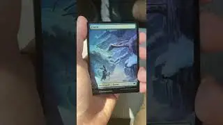 Bloomborrow Collector Booster First Pull - MTG