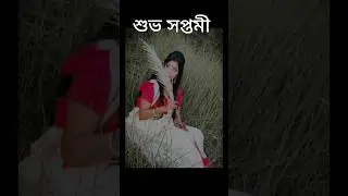 শুভ সপ্তমী #দুর্গাপূজা #শুভসপ্তমী #durgapuja #durgamaa #20240