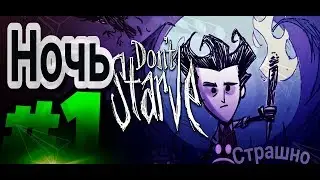 Ночь (Dont Starve Together) #1
