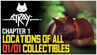 Stray All Chapter 1 Collectibles