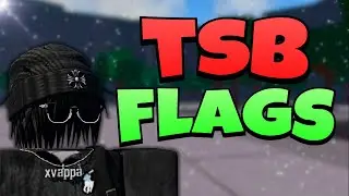 BEST Fast Flags to BOOST FPS In TSB! 🔧 *FPS BOOST & LOW PING* ✅