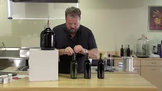 Making Wine From Fruit at Home