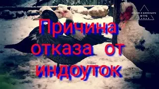 Indoutki // Reason for refusal of indoutki