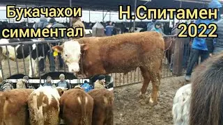 МОЛБОЗОРИ НОВ НАРХИ ГОВ 13.02.2022