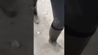Bottes Aigle