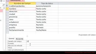 Access-Opciones básicas de los tipos de datos.