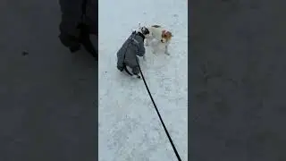 Рей. Лучший стафф)).