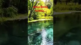Beningnya Sumber Mata Air Ini #shorts #sumbermataair #airbening #danau #tengahhutan #sahdu #indah