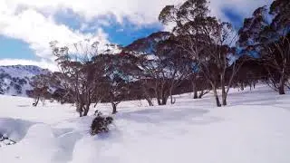 Avalanche, Charlotte Pass