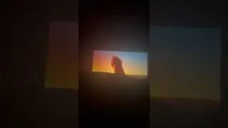 I watched The Lion King on the big screen