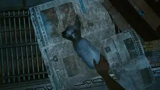 i pet a cat in cyberpunk 2077
