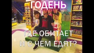 Кто я? Годень дед.