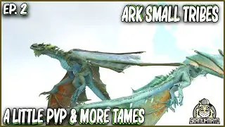 First Pvp Fight In Ages & More Taming - Ark Survival Evolved - Solo Small Tribes Ep. 2