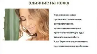 Что За Линия Алоэ Вера Барбаденсис Миллер от LR