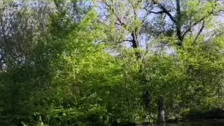 Ирон зараг