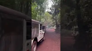 Ab Road Hi Babasir hai to hum kya karen?