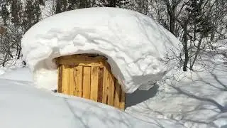 Мамай 23 февраля 2023 г