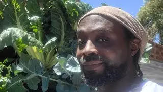 See how the heat defying Living Wall system works, from the bottom to the top! #gardenlife #garden