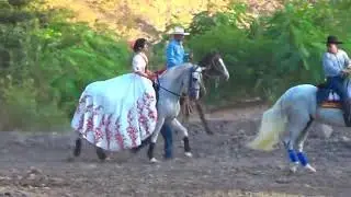Desfile Hípico Teustepe 2019 - Cortesia TVMAX Teustepe canal 102