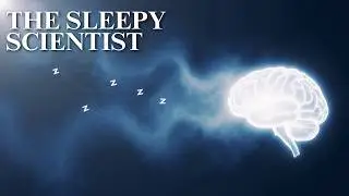 Why Do We Dream? | The Sleepy Scientist