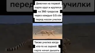мем