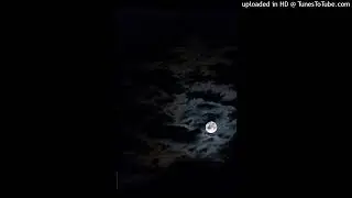 night star - @wish, @lapkens 130