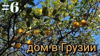 #6 Дом в Грузии. Работа в саду.