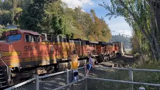 BNSF + CN Train Race! BNSF + Amtrak Trains From The Beach! Edmonds, WA