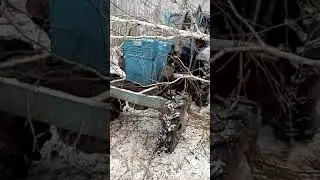 Уронили дерево на трактор.