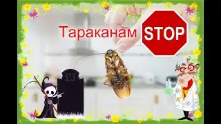 Как избавиться от тараканов 👾