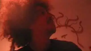 the dailys are back!!!!!!!!!!!!