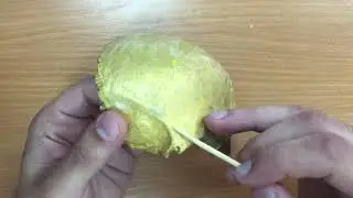 Лобная кость .Анатомия
