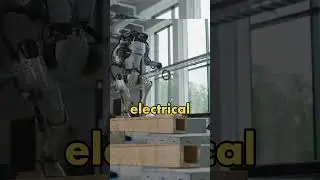 How did Atlas survive this???