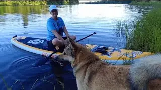РЫЖИЙ В ГОСТЯХ И ОЛЕНЬКА ПРИПЛЫЛА) ПРИЯТНО РАЗБАВИЛИ НАМ ДНЕВНУЮ СУЕТУ.