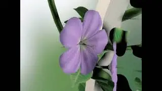 Modeling with 3DS Max (1996)