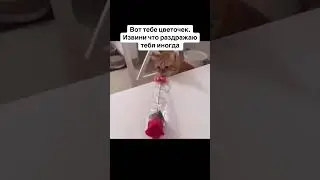 Ты знаешь кому отправить 😉 #dutiap #юмор #отношения